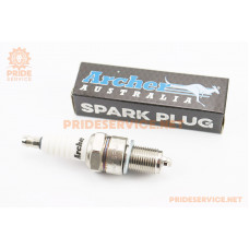 Свічка 4T A969P M14-L19 мотоблок