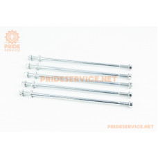 Вісь маятника d-10мм; L-250мм+гайки, к-кт 5шт