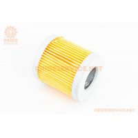 Фільтр паливний-елемент 53мм ZUBR R170/R195NM