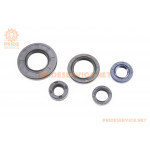 Сальники к-кт 5шт (10x18x6; 12x18x5; 12x21x4; 20x30x4,5; 20x38x5) двигуна