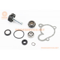 Ремонтний комплект помпи водяної+крильчатка Yamaha Majesty 250, 8 деталей