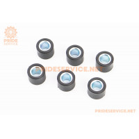 Ролики варіатора 6шт, Honda/GY6 16x13-7,0г