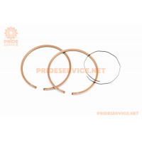 Кільця поршневі Suzuki AD50 41мм +0,50