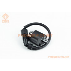 Shineray XY200GY/XY250GY-9А Котушка запалювання із свічником