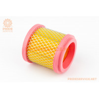 Фільтр-елемент повітряний Shineray XY250GY-6B