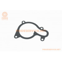 Прокладка кришки помпи ADVANCE NB300-F