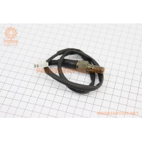 Болт гальмівного шланга M10+датчик гальма